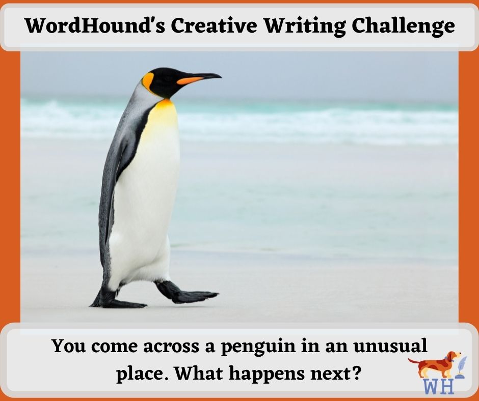 Children's Writing Competition 1 Penguin prompt