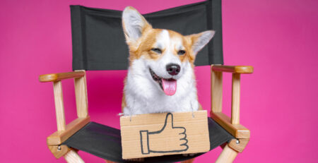 Dog sat on director's chair - Create video script