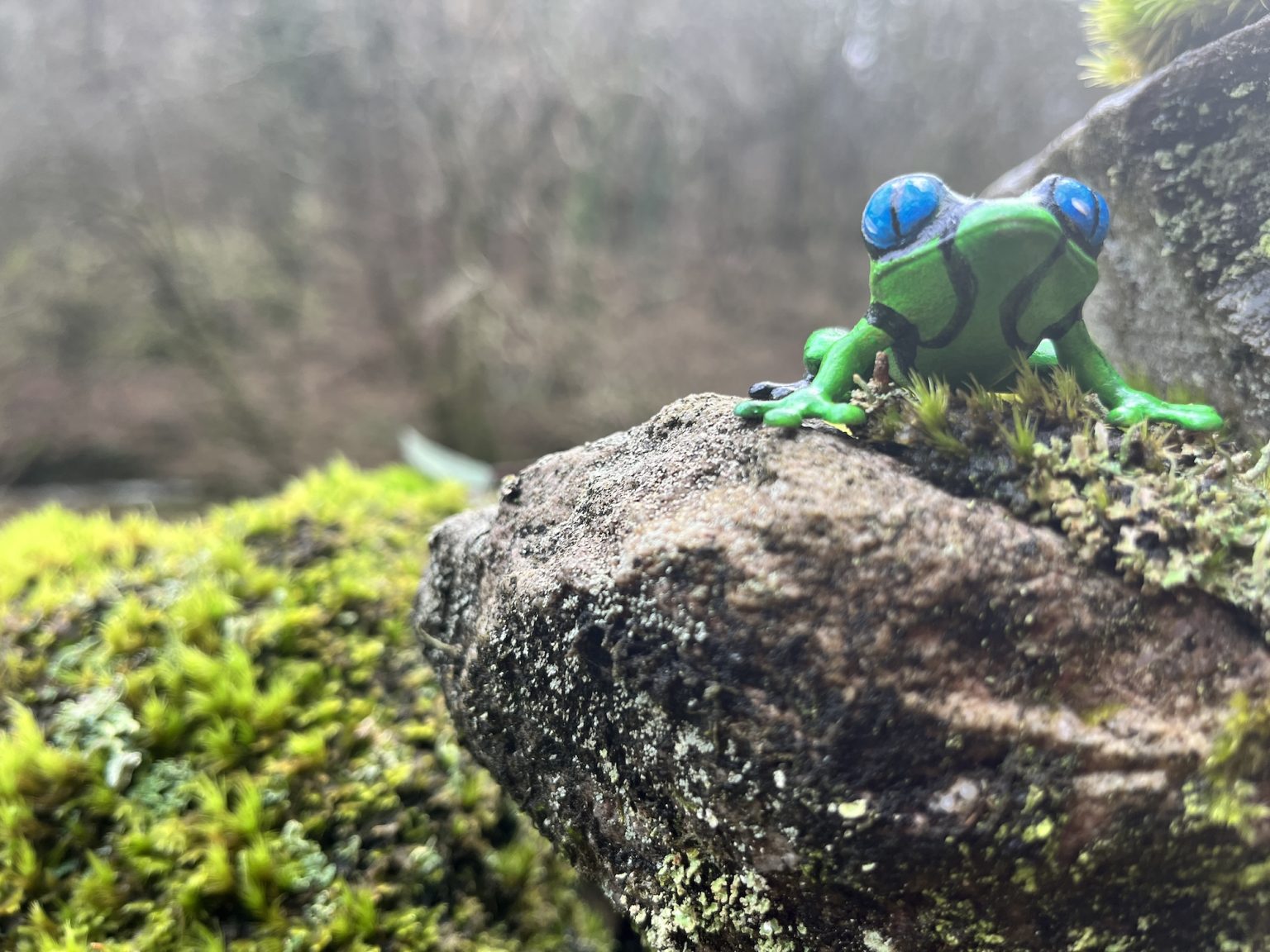 Wordhound Ridge Should I Care About My Yoast Score? – WordHound